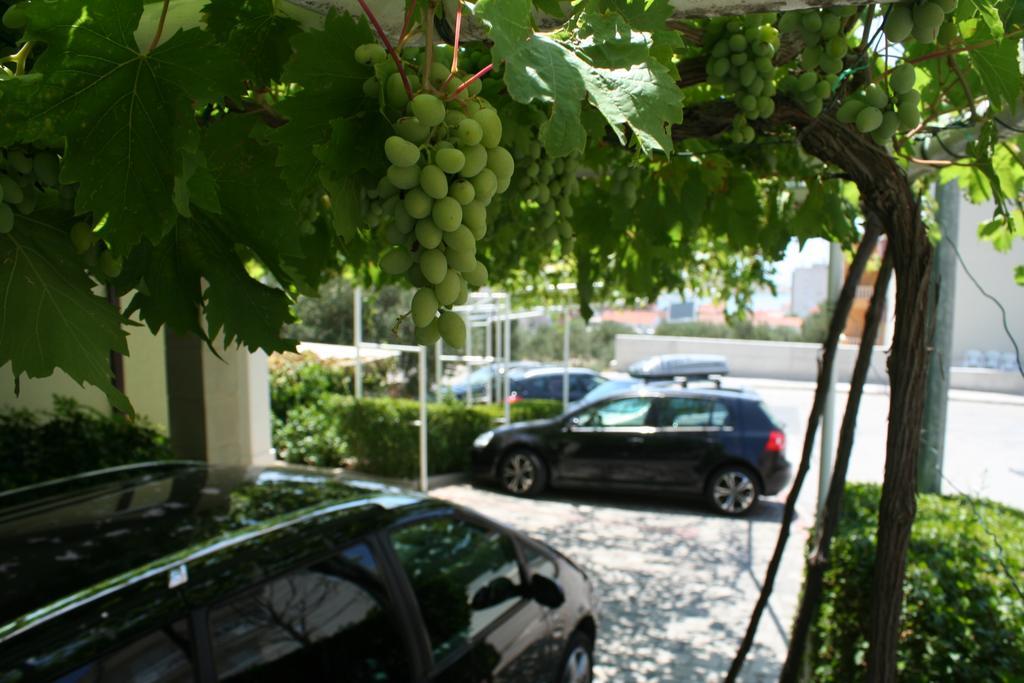 Rados * Makarska